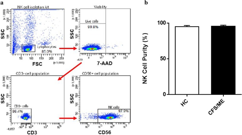 Validation of impaired Transient Receptor Potential Melastatin 3 ion channel activity in natural killer cells from Chronic Fatigue Syndrome/ Myalgic Encephalomyelitis patients. 